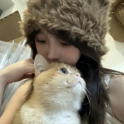 间谍兔洞第一季
